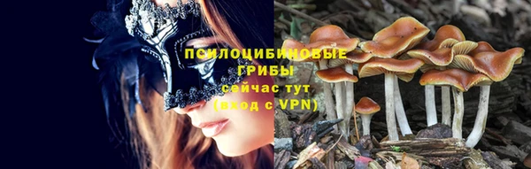 ECSTASY Богородск