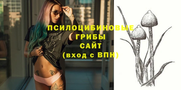 спайс Белокуриха