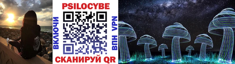 KRAKEN   сколько стоит  Белый  Псилоцибиновые грибы Cubensis 